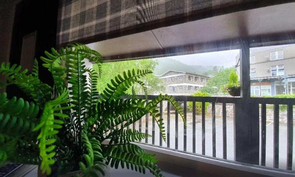 Fairy Falls Hotel Trefriw エクステリア 写真